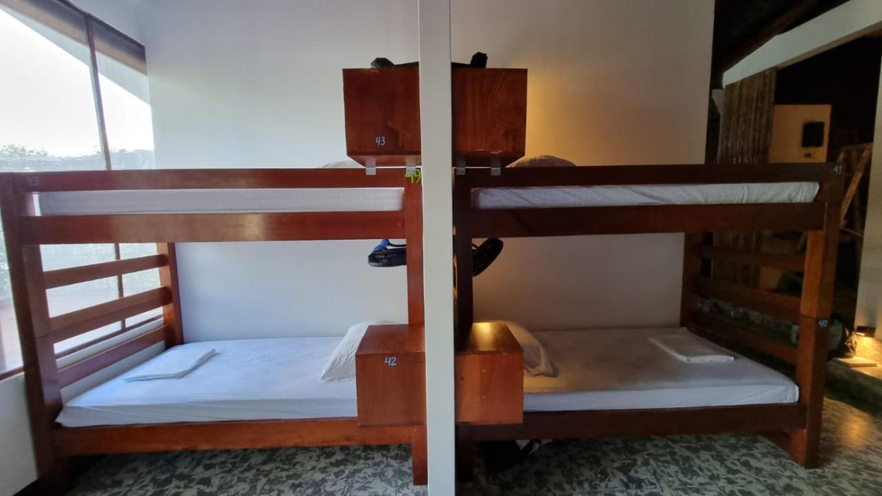 Paradiso Hostel La Laguna المظهر الخارجي الصورة