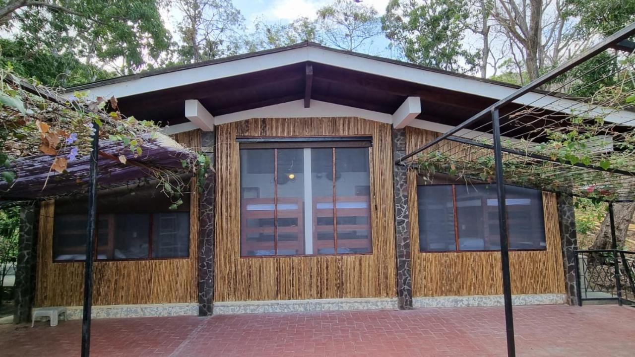 Paradiso Hostel La Laguna المظهر الخارجي الصورة