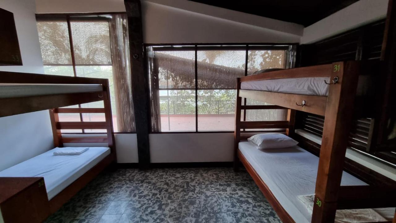 Paradiso Hostel La Laguna المظهر الخارجي الصورة