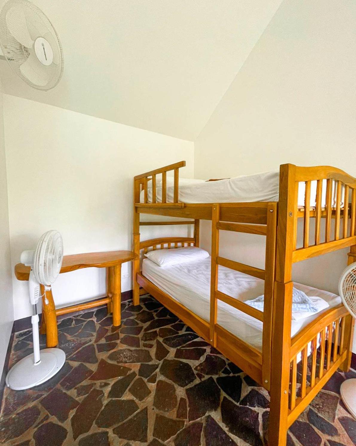 Paradiso Hostel La Laguna المظهر الخارجي الصورة